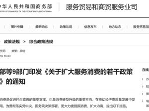 关于扩大服务消费，商务部等9部门重磅发布！推动互联网、文化等领域有序开放