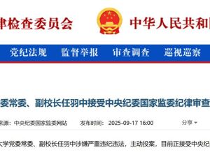北京大学副校长任羽中，主动投案！
