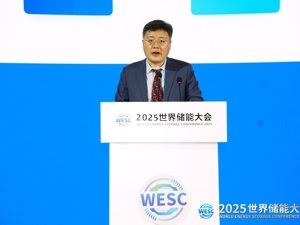 工信部装备工业发展中心党委书记、副主任柳新岩：新型储能正向大容量、混合化、多元化演进