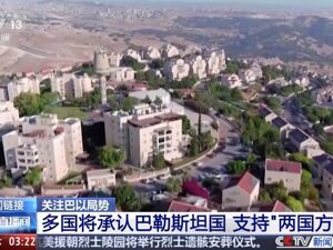 美国施压，日本暂不承认巴勒斯坦国！联合国秘书长发声