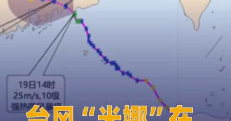 台风“米娜”在广东汕尾登陆中心 附近最大风力10级