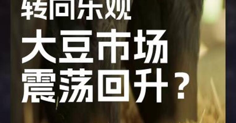 市场对美豆出口转向乐观，大豆市场震荡回升？