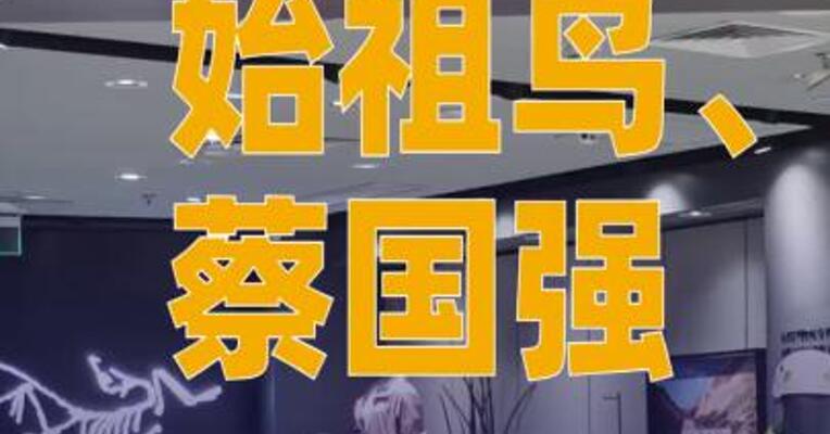 始祖鸟、蔡国强分别就烟花秀道歉