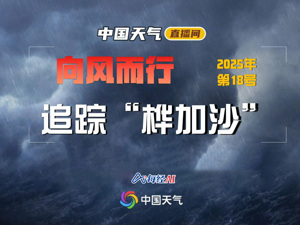 直播丨向风而行 追踪“桦加沙”