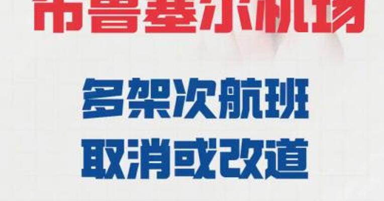 比利时布鲁塞尔机场 多架次航班取消或改道