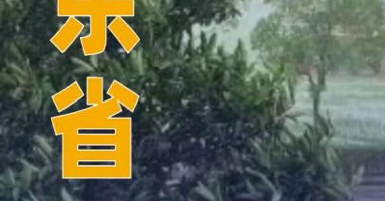 广东省防风应急响应提升为Ⅰ级