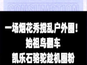 一场烟花秀搅乱户外圈！始祖鸟翻车，凯乐石骆驼趁机圈粉
