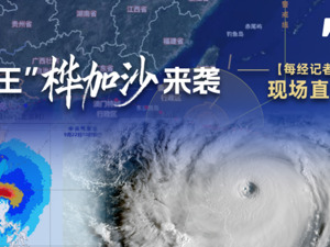 直播｜“风王”桦加沙来袭 每经记者现场直击