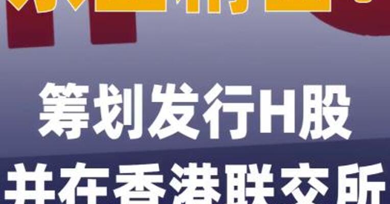 东山精密：筹划发行H股 并在香港联交所主板上市