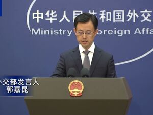 中国在世贸谈判中将不寻求新的特殊和差别待遇，外交部：彰显大国担当