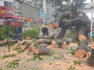 台风“桦加沙”来袭：香港已有82人受伤、有轮船撞毁护栏 深圳直径1米大树被吹倒 专家：降雨将成主要威胁