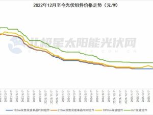 价格VS价值  中国光伏如何破局？