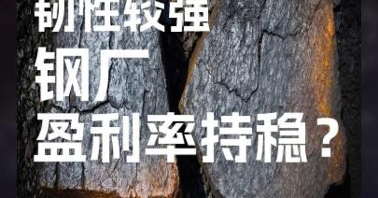 铁矿需求端韧性较强，钢厂盈利率持稳？