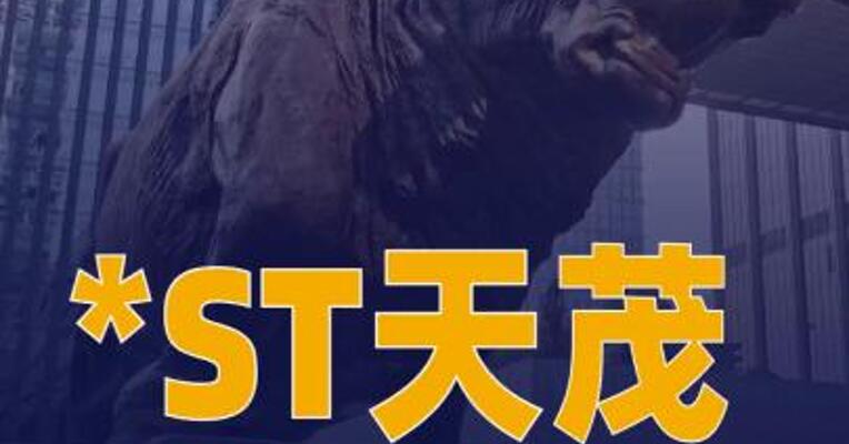 *ST天茂：收到股票终止上市 决定