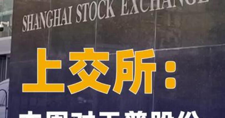 上交所：本周对天普股份、 上纬新材等波动幅度较大的股票 进行重点监控
