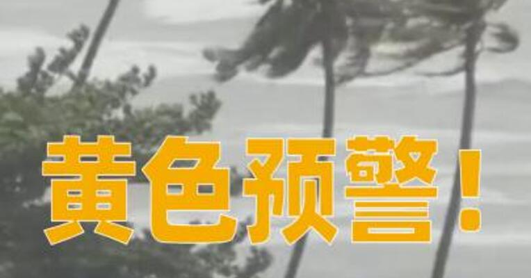 黄色预警！台风“博罗依”来袭