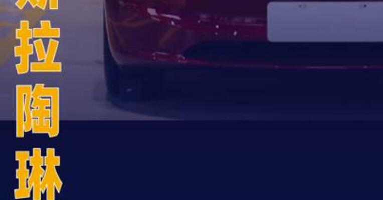 特斯拉陶琳首批特斯拉在印度交付