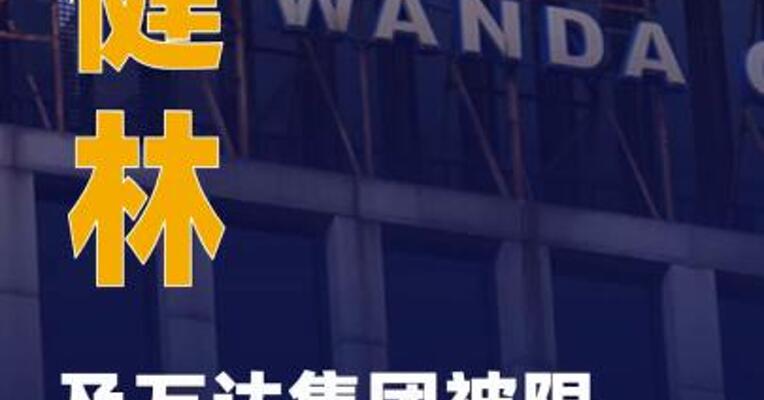王健林及万达集团被 限制高消费