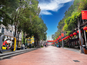 中国贸促会答每经问：牵头制定全球首个在线旅游国际标准，若干团体标准为企业出海提供规范指引