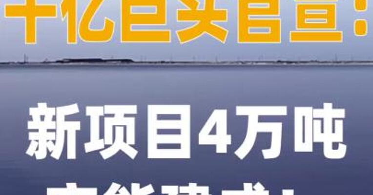 千亿巨头官宣：新项目 4万吨产能建成！