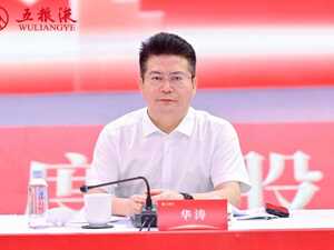 五粮液华涛“一年考”：周期考题与改革破局的双向作答