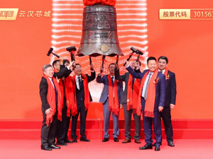 产业互联网的标杆答卷：云汉芯城上市，验证供应链平台服务价值