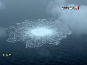 “北溪”爆炸案最新！一乌克兰潜水教练在波兰被捕，涉嫌在管道上放置炸药！德政党领导人：乌政府“深度参与”