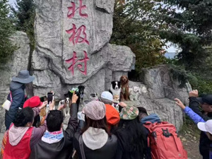 高铁托运不够用，多家航司推“宠物进客舱”  花2万元带毛孩子看世界，正催生下一个百亿市场 | 聚焦宠物经济①
