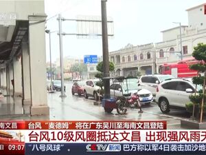 风暴潮、海浪双红色预警！台风“麦德姆”即将登陆，10级风圈抵达文昌！海南多个景区关闭
