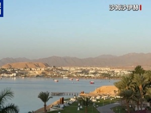 哈马斯、普京最新发声！