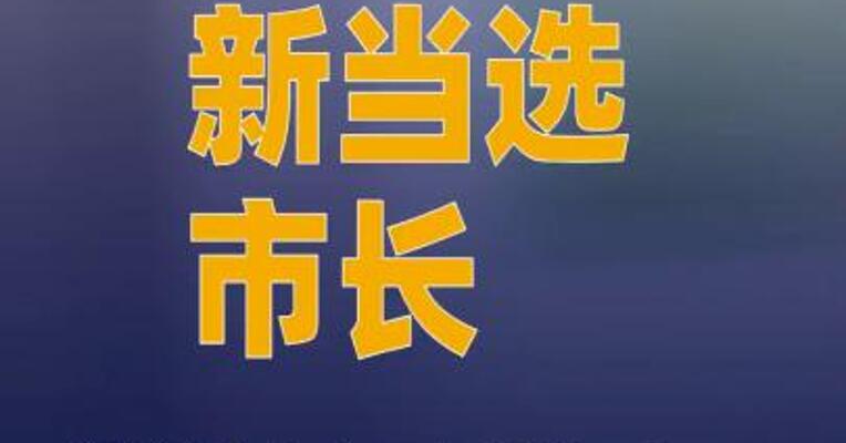 德国西部一城市新当选市长遭持刀袭击
