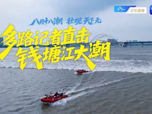 直播丨八月十八潮，壮观天下无！