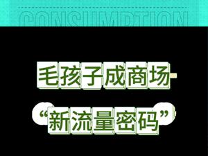 一只猫售价≈一辆车，标价9万8！商场宠物店卖的不是宠物，是“新流量密码”