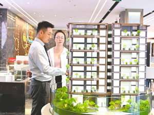 “金九”百城房价分化：新房结构性微涨，二手房环比下跌