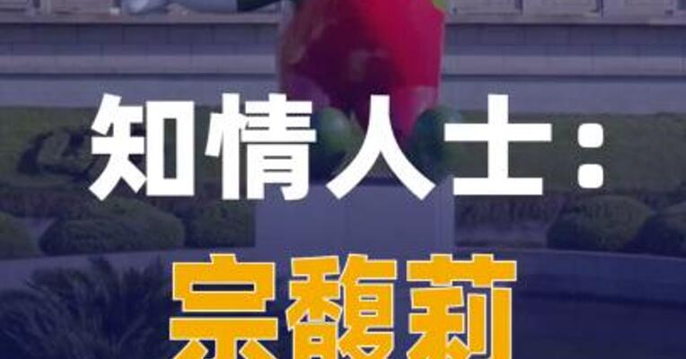 知情人士：宗馥莉已经辞职