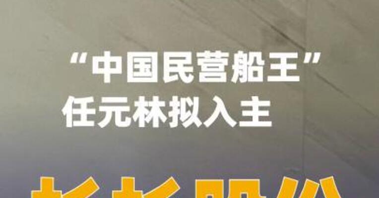 “中国民营船王”任元林拟入主杉杉股份