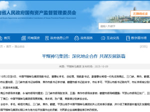 河南能源集团重组过渡期领导层确认 杨恒任董事长
