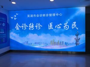 小城医保基金“失血”压力大，安徽芜湖开“新方”