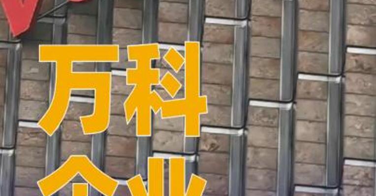 万科企业：董事长辛杰辞职