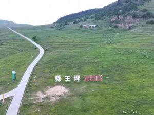 拍卖无人问津，A级景区资产不香了？