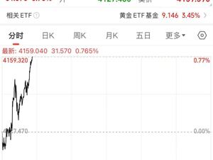 国际金价再创新高！金饰价格每克涨至1213元，年内已涨400元！发生了什么？机构分析
