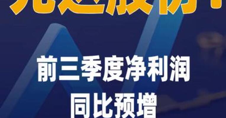 先达股份：前三季度净利润同比 预增2807.87%~3211.74%