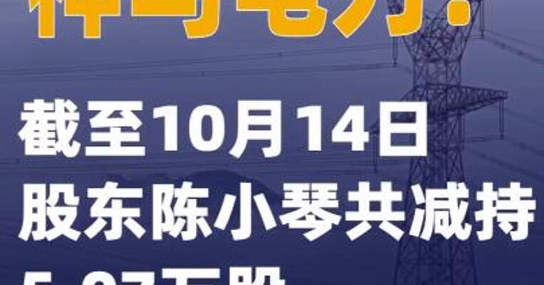神马电力：截至10月14日股东陈小琴共减持5.07万股