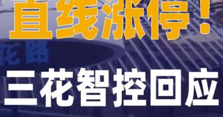 直线涨停！三花智控回应 天价订单传闻