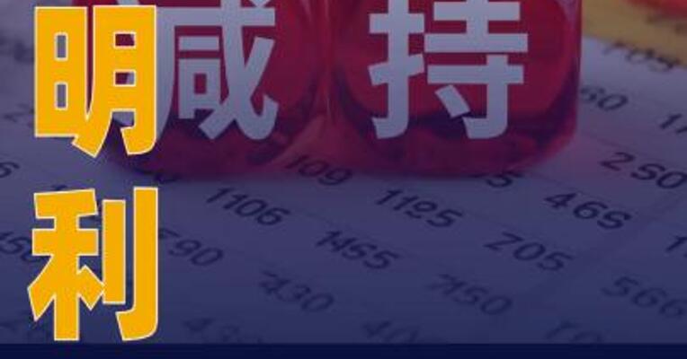 德明利：股东拟减持公司 不超1.32%股份