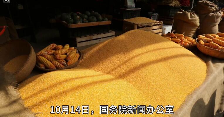 政策带来信心 玉米市场企稳反弹！