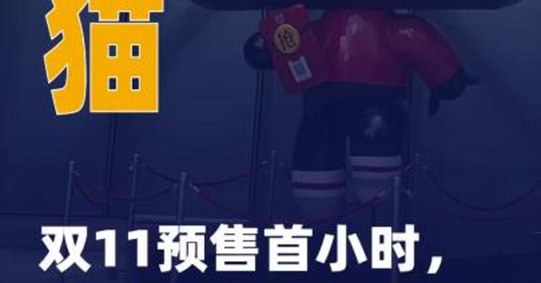天猫双11预售首小时，35个品牌 成交破亿
