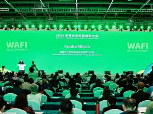 中国技术助100万非洲农户实现增产，国际专家：引入杂交水稻是帮助非洲摆脱粮食进口依赖的关键一步
