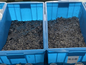 深度丨光伏组件退役回收行业遇“饥荒”，小作坊、贵金属贸易商争抢货源 乱局何解？