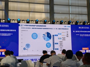 深圳国家高技术产业创新中心彭映晗：半导体市场规模将在2030年达到万亿美元级别